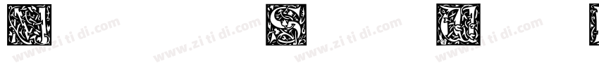 MorrisSansW01 Heavy字体转换